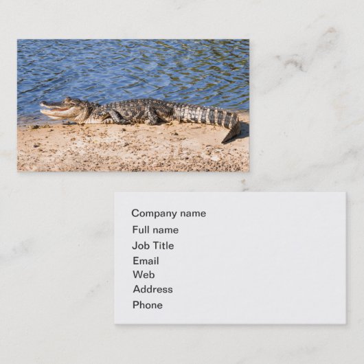 Alligator zonnopend in het meer visitekaartje (Voorkant / Achterkant)