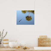 Alligator zwemt in een South Carolina Pond Poster (Keuken)