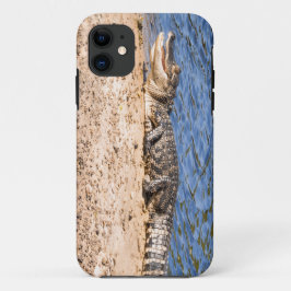 Alligatorbaby zich koesterend in de zon Case-Mate iPhone case