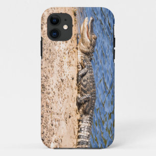 Alligatorbaby zich koesterend in de zon Case-Mate iPhone case
