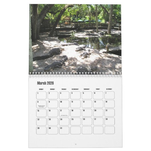 AlligatorBoerderij in St. Augustinus Wall Calendar Kalender (Mar 2026)