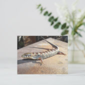 alligatorhagedis briefkaart (Staand voorkant)