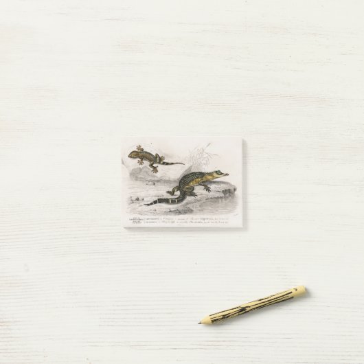 Alligatorhagedis Post-it® Notes (Op bureau)