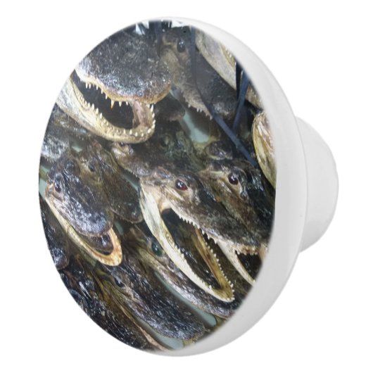Alligatorhoofd Keramische Knop (Rechts)