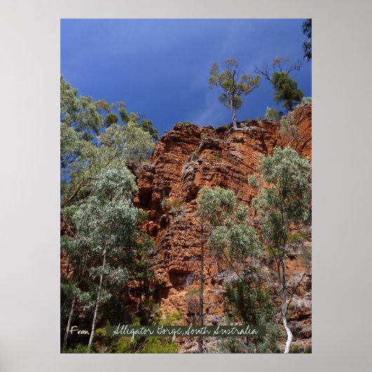 Alligatorkloof met rode kussens poster (Voorkant)