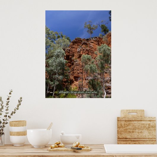 Alligatorkloof met rode kussens poster (Keuken)