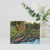  alligatorkwartet Bayano, Panama Briefkaart (Staand voorkant)