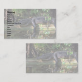 Alligatornamiddag, Everglades, Florida Visitekaartje (Voorkant / Achterkant)