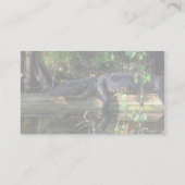Alligatornamiddag, Everglades, Florida Visitekaartje (Achterkant)