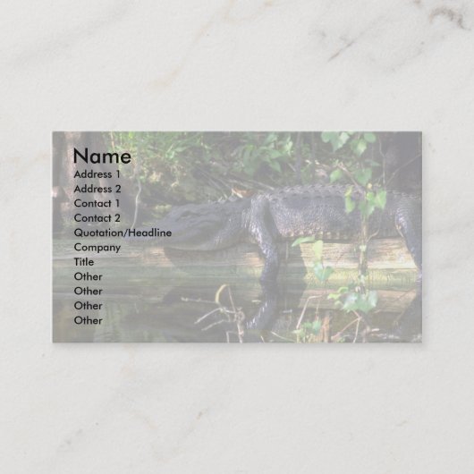 Alligatornamiddag, Everglades, Florida Visitekaartje (Voorkant)