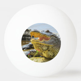Alligatorportret Pingpongbal