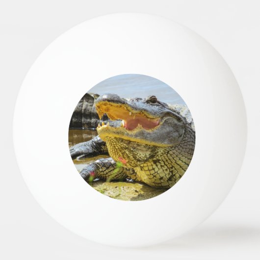 Alligatorportret Pingpongbal (Achterkant)