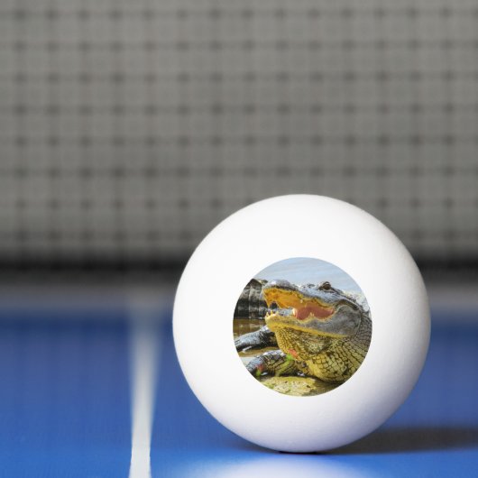 Alligatorportret Pingpongbal (Net)