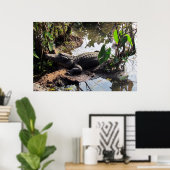 AlligatorPoster Poster (Thuiskantoor)