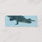 Alligatorprofielkaart Mini Visitekaartje (Achterkant)