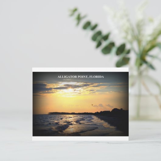 ALLIGATORPUNT, FLORIDA BRIEFKAART (Staand voorkant)