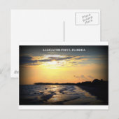 ALLIGATORPUNT, FLORIDA BRIEFKAART (Voorkant / Achterkant)