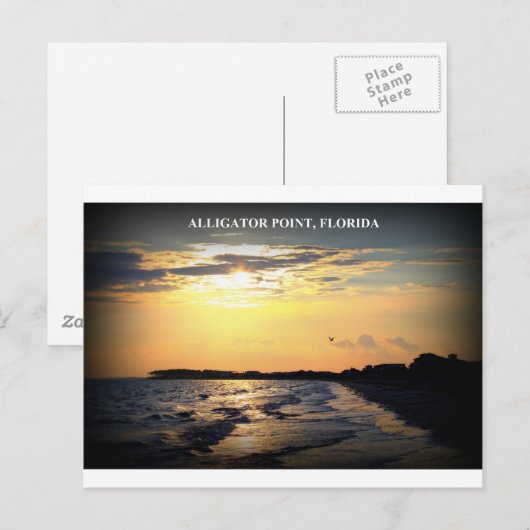 ALLIGATORPUNT, FLORIDA BRIEFKAART (Voorkant / Achterkant)