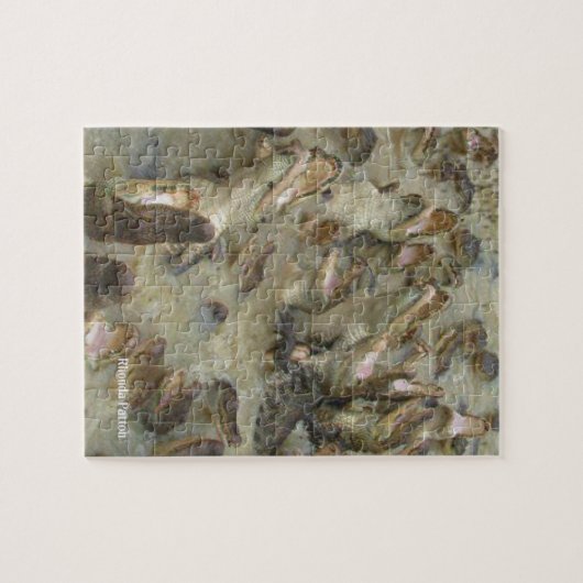 Alligatorpuzzel Legpuzzel (Horizontaal)