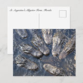Alligators #5 briefkaart (Voorkant / Achterkant)