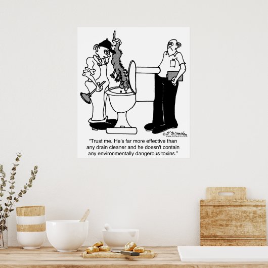 Alligators als afvoerreinigers poster (Keuken)