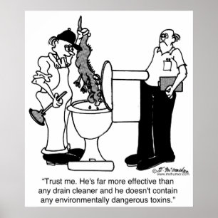 Alligators als afvoerreinigers poster