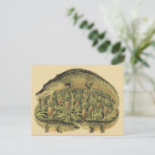 alligators, ananassen, briefkaart (Staand voorkant)