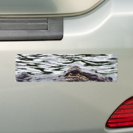 Alligators Bumpersticker (Op auto)