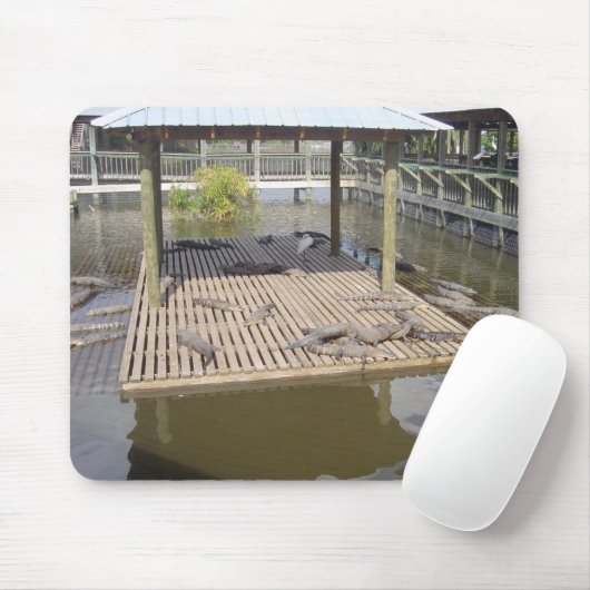 Alligators die in de Muismat van de zon liggen (Met muis)