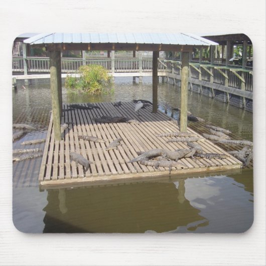 Alligators die in de Muismat van de zon liggen (Voorkant)