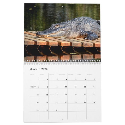 Alligators in het wild 2026 kalender (Mar 2026)