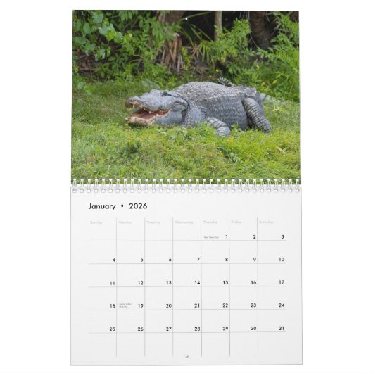Alligators in het wild 2026 kalender (Jan 2026)