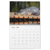 Alligators in het wild 2026 kalender (Mar 2027)