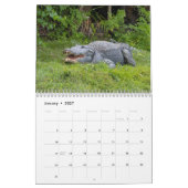 Alligators in het wild 2026 kalender (Jan 2027)