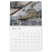 Alligators in het wild 2026 kalender (Feb 2027)