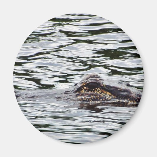 Alligators Magneet (Voorkant)