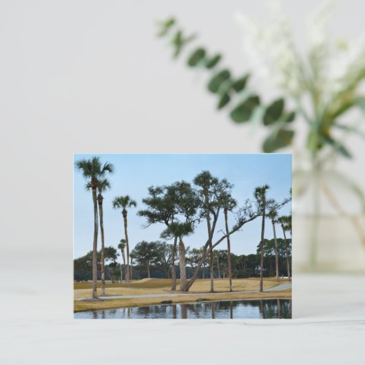 Alligators op Osprey Point Golf-cursus Briefkaart (Staand voorkant)