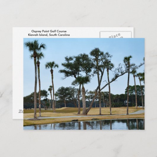 Alligators op Osprey Point Golf-cursus Briefkaart (Voorkant / Achterkant)