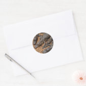 alligators ronde sticker (Envelop)