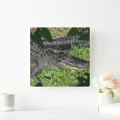 Alligators Sunning Vierkante Klok (Huis)