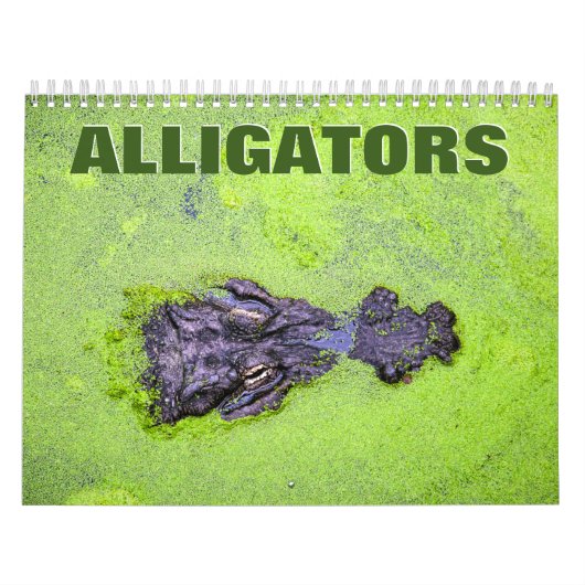 Alligators Wall Agenda Kalender (Hoes)