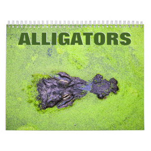 Alligators Wall Agenda Kalender