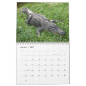 Alligators Wall Agenda Kalender (Jan 2027)