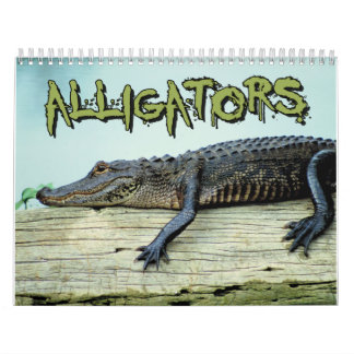 Alligators Wall Agenda Kalender