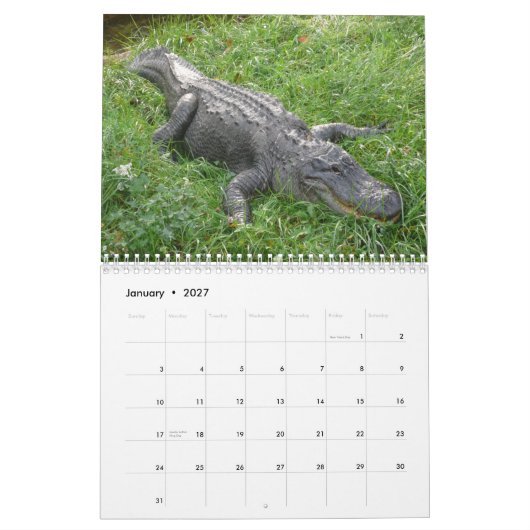 Alligators Wall Agenda Kalender (Jan 2027)