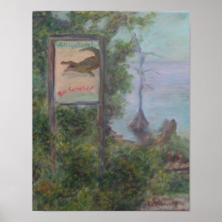 ALLIGATORS! ZORGVULDIG! Poster