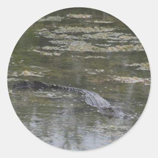 AlligatorStickers Ronde Sticker (Voorkant)