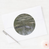 AlligatorStickers Ronde Sticker (Envelop)