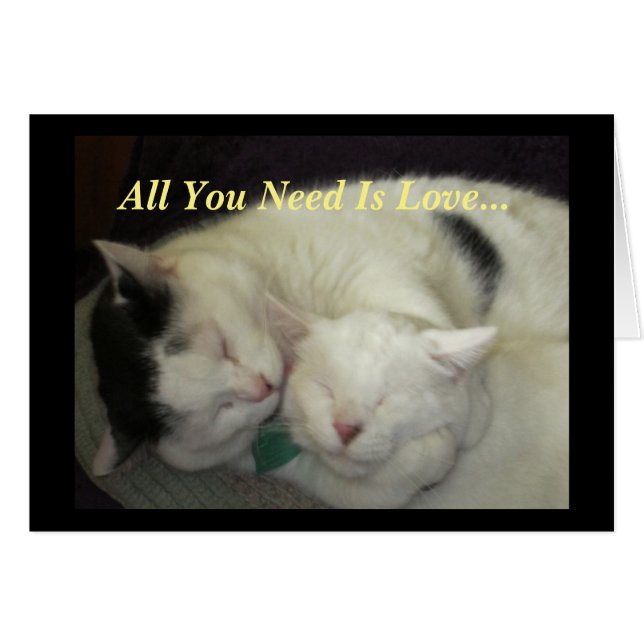 Allis & Abbie De katten die je nodig hebt zijn all (Voorkant Horizontaal)