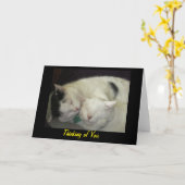 Allis & het Denken Abbie aan u Wenskaart Kaart (Gele Bloem)